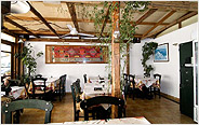 To Ellinikon - Taverna and Restaurant