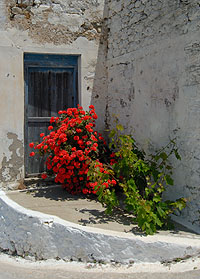 Piles, Othos, Menetes, Messochori, Amopi