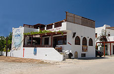 Taverna Four Seasons